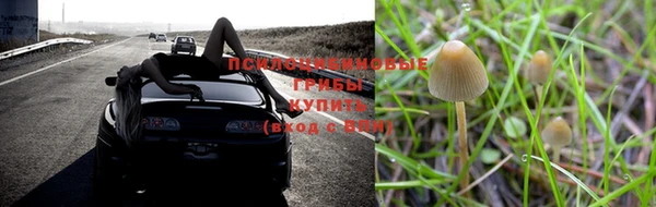 мяу мяу кристалл Нея