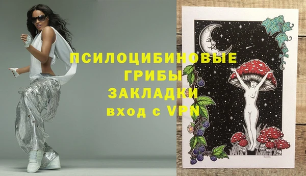 2c-b Надым