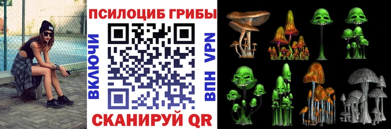 Псилоцибиновые грибы Magic Shrooms  Правдинск 